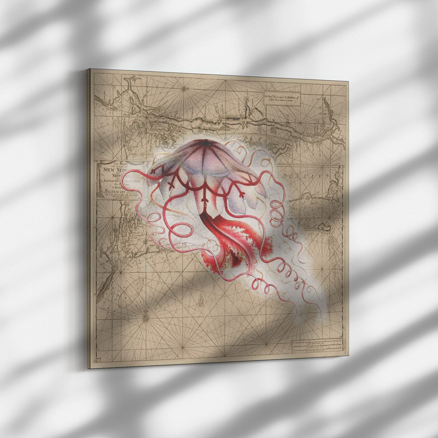 Vintage Nautical Canvas Print - Jellyfish