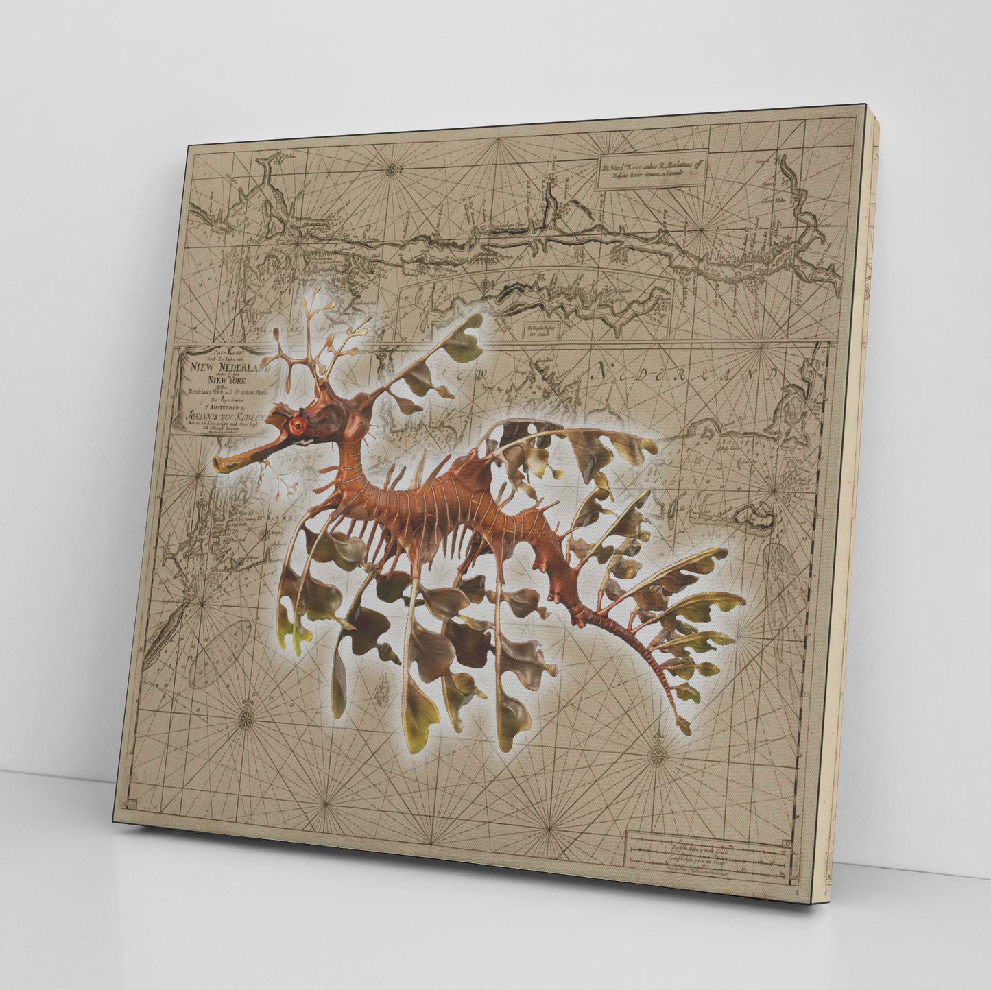 Vintage Nautical Canvas Print - Seadragon