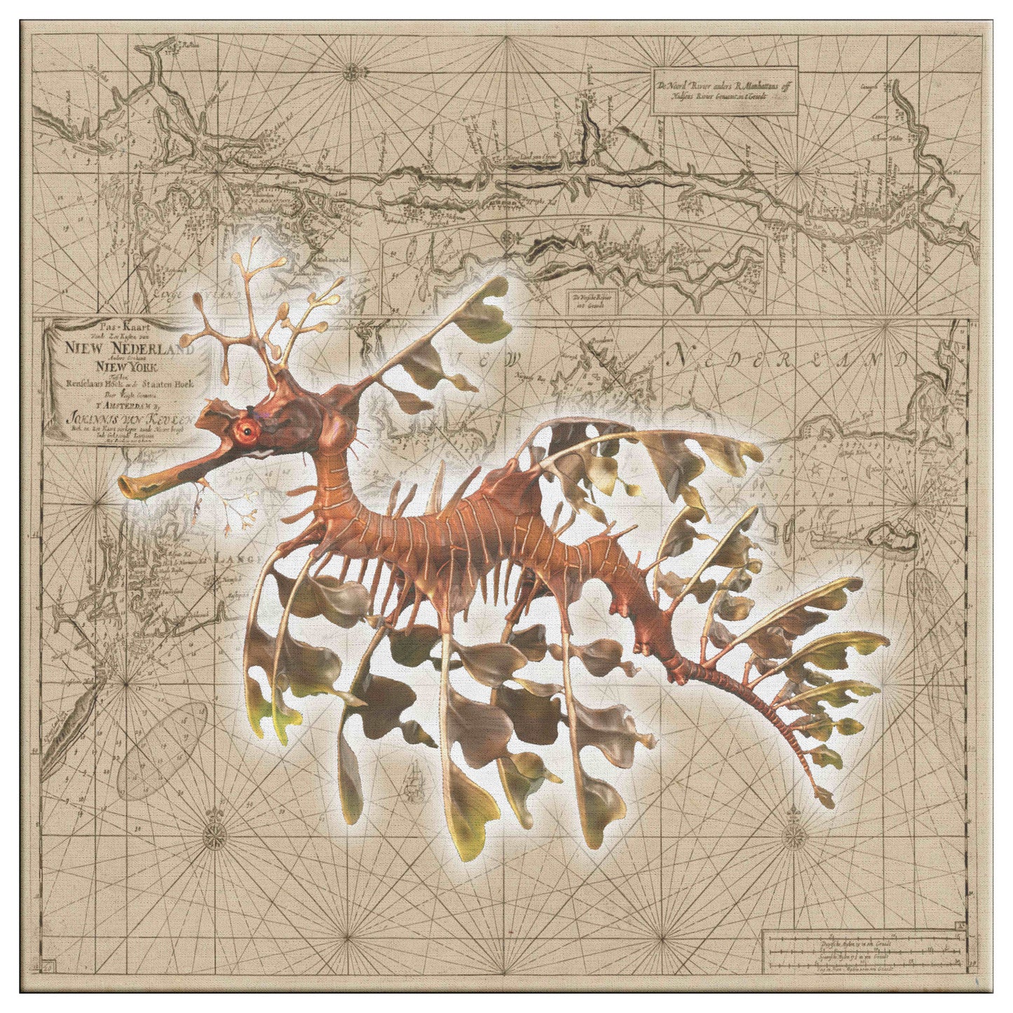 Vintage Nautical Canvas Print - Seadragon