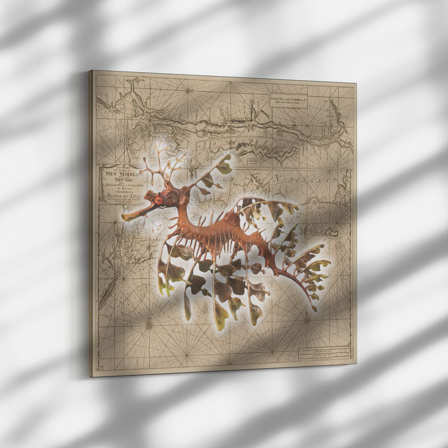 Vintage Nautical Canvas Print - Seadragon