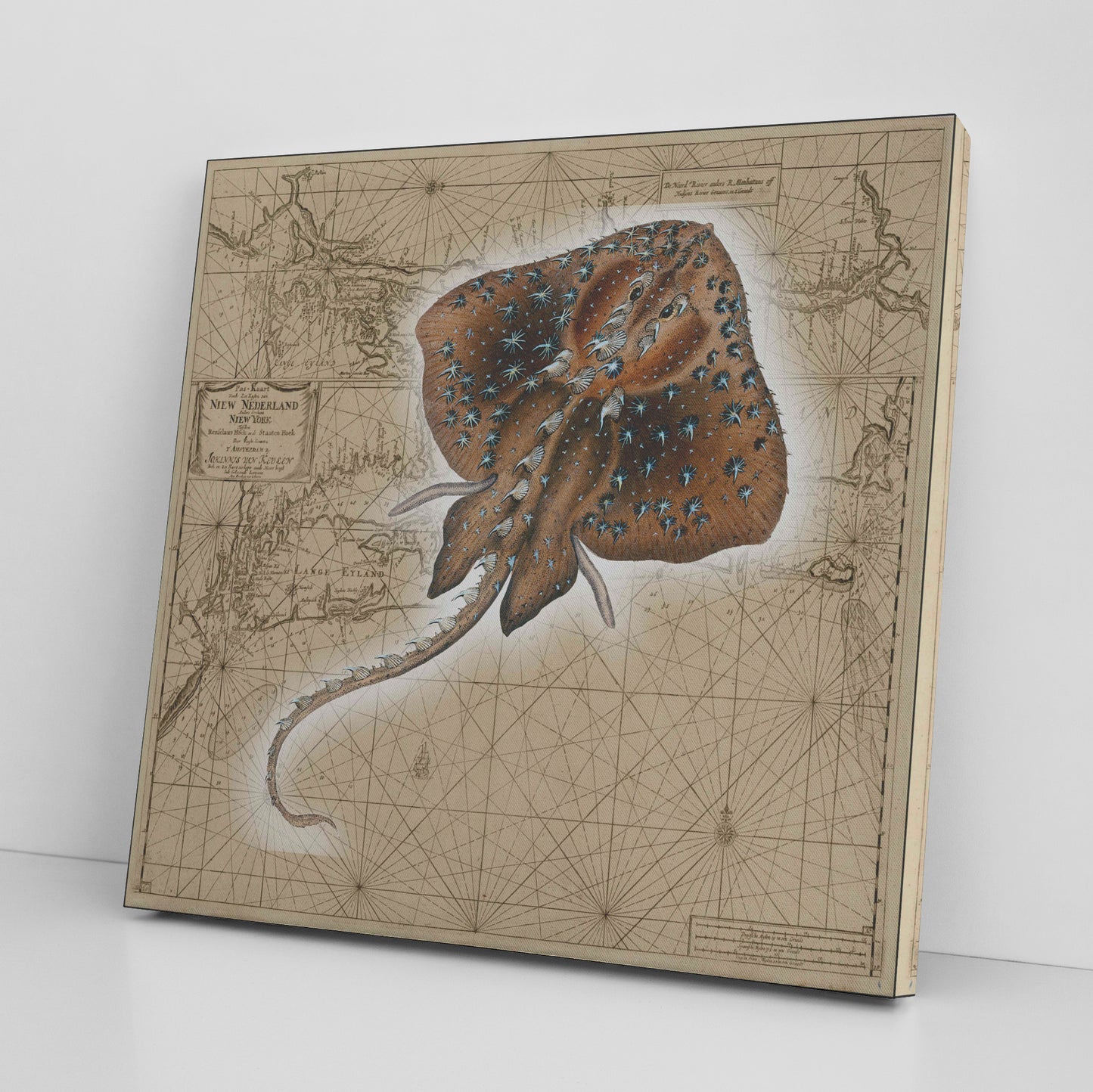 Vintage Nautical Canvas Print - Stingray