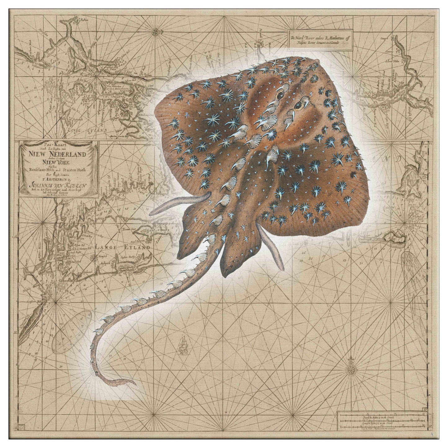 Vintage Nautical Canvas Print - Stingray