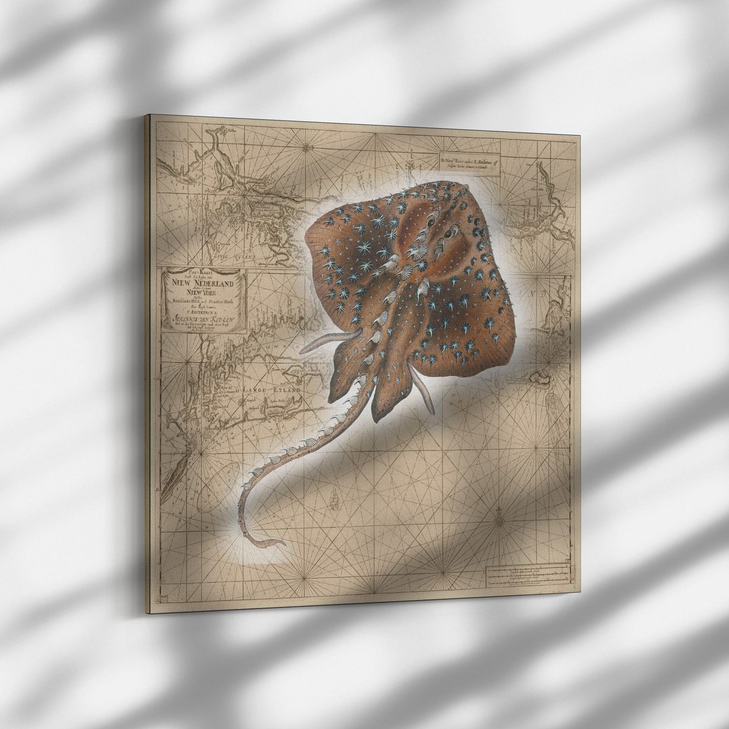 Vintage Nautical Canvas Print - Stingray