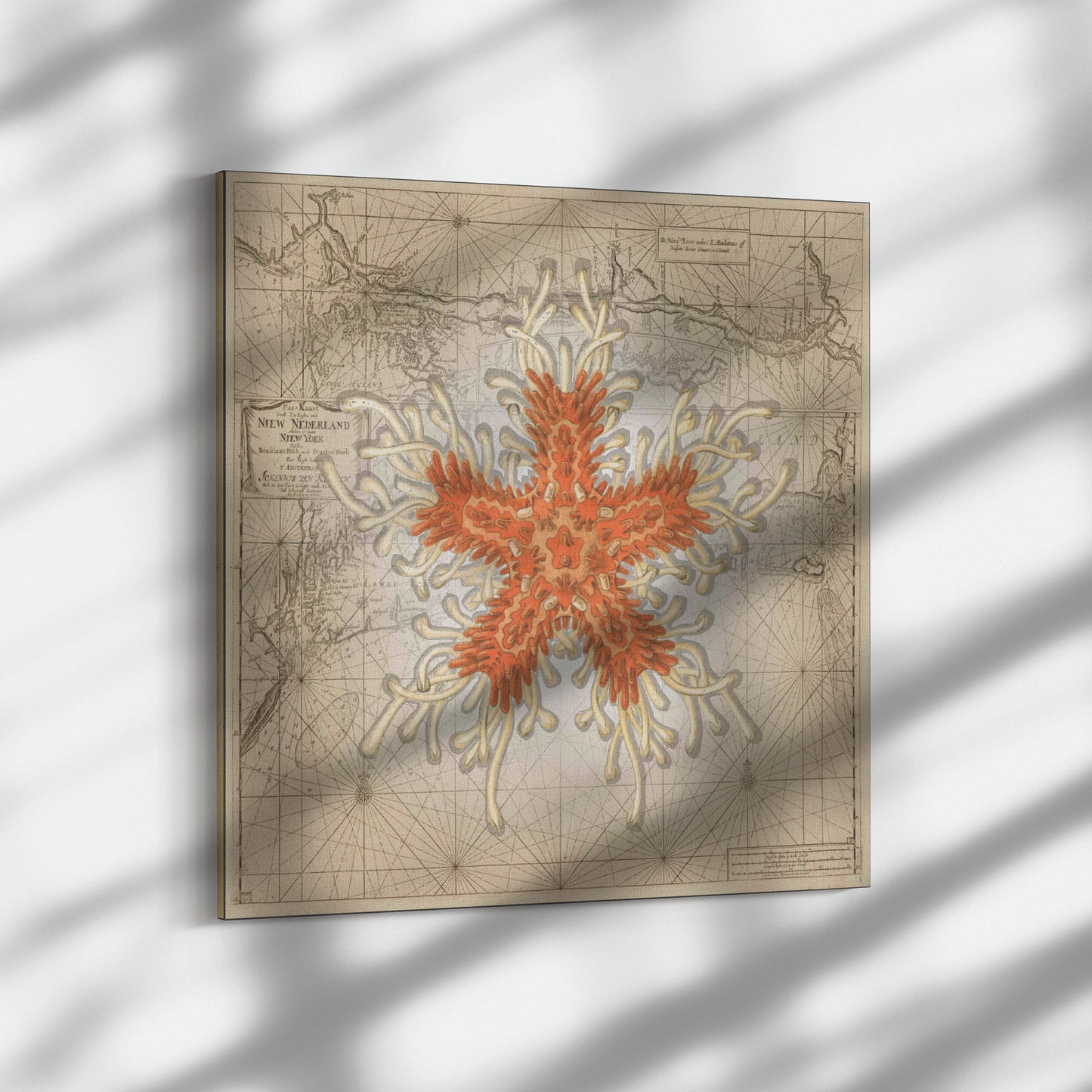 Vintage Nautical Canvas Print - Starfish