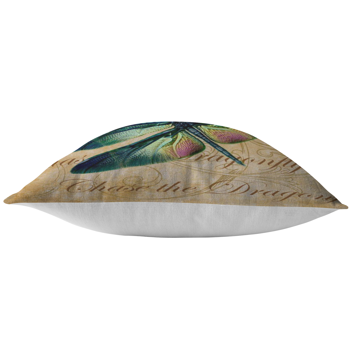 butterfly,butterflies,dragonfly,dragonflies,butterflies and dragonflies,nature,digital,collage