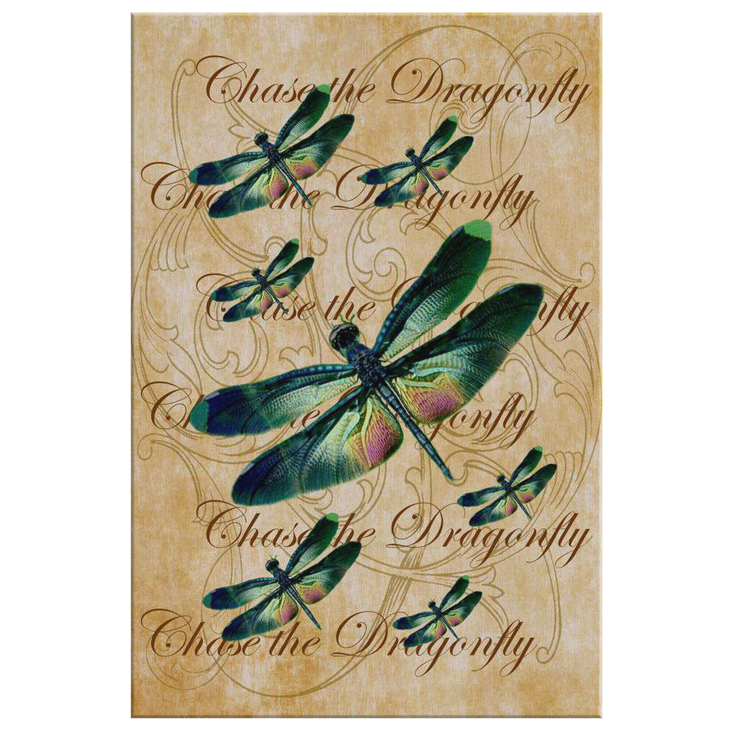 butterfly,butterflies,dragonfly,dragonflies,butterflies and dragonflies,nature,digital,collage