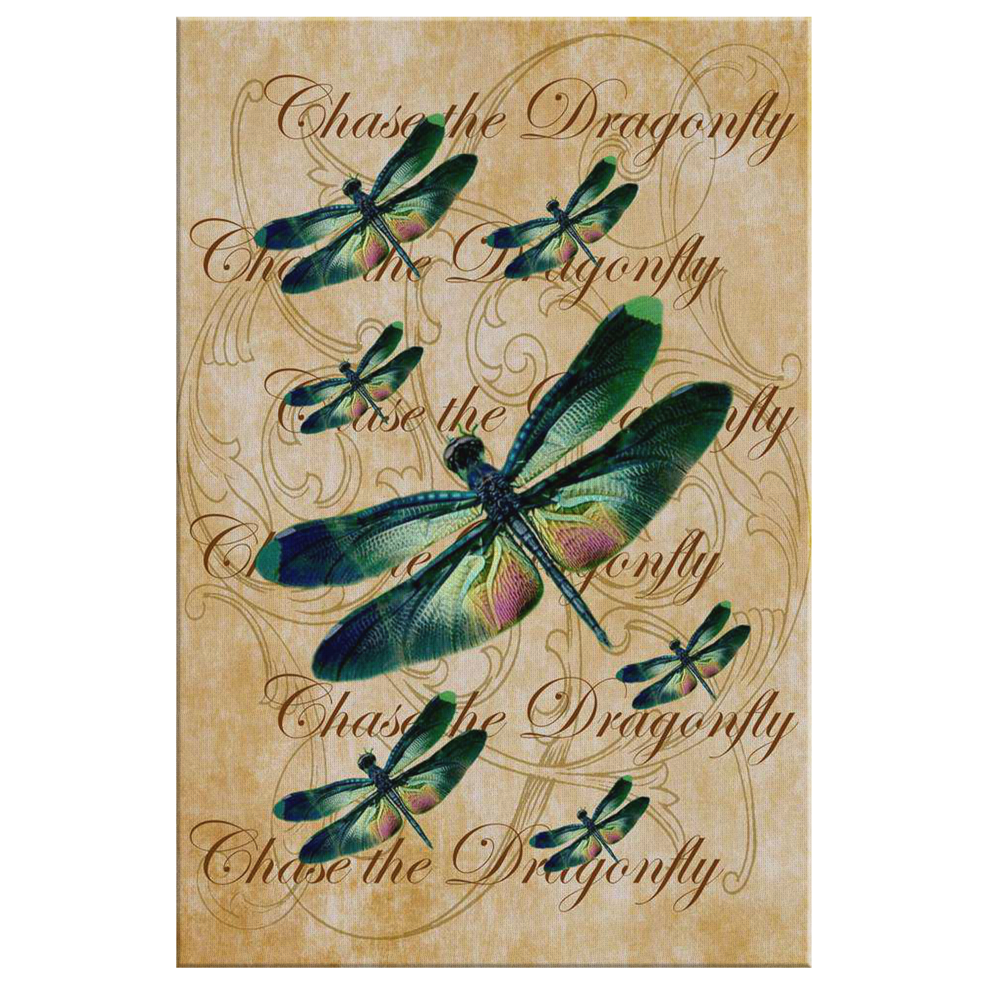 butterfly,butterflies,dragonfly,dragonflies,butterflies and dragonflies,nature,digital,collage