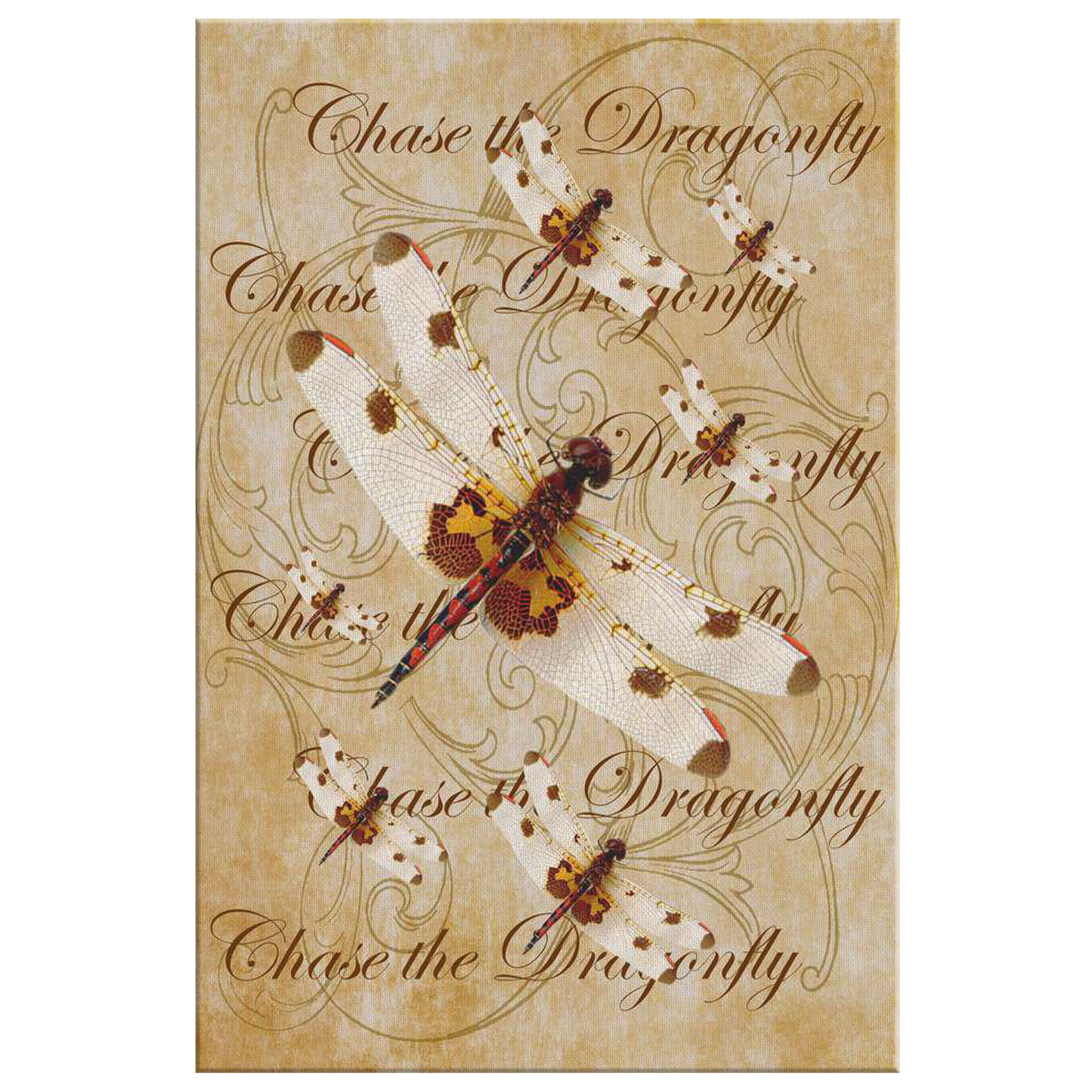 butterfly,butterflies,dragonfly,dragonflies,butterflies and dragonflies,nature,digital,collage