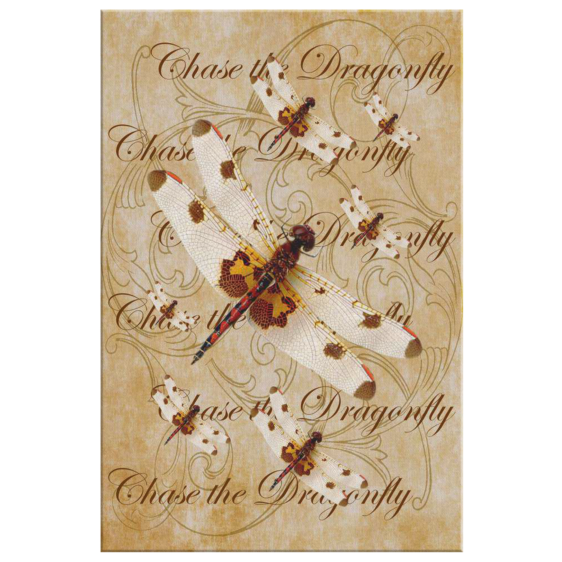 butterfly,butterflies,dragonfly,dragonflies,butterflies and dragonflies,nature,digital,collage