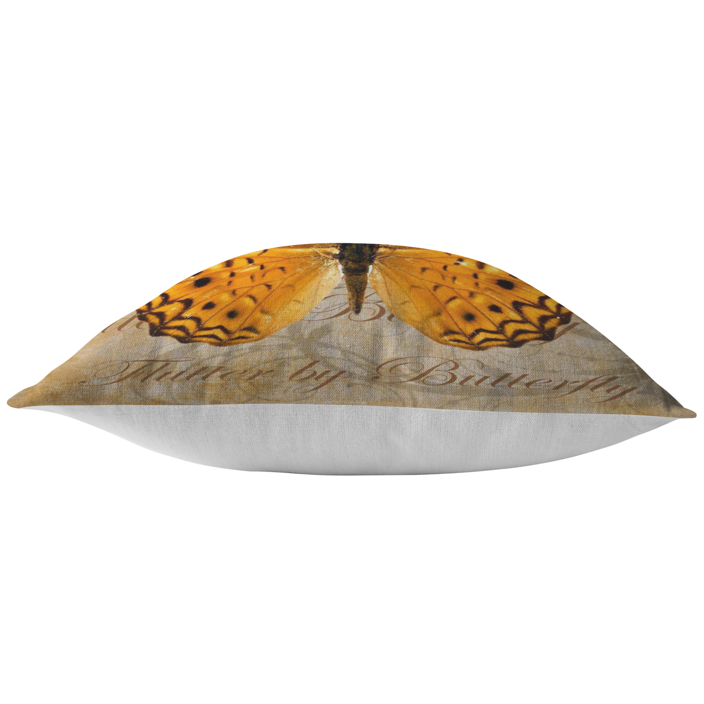 butterfly,butterflies,dragonfly,dragonflies,butterflies and dragonflies,nature,digital,collage