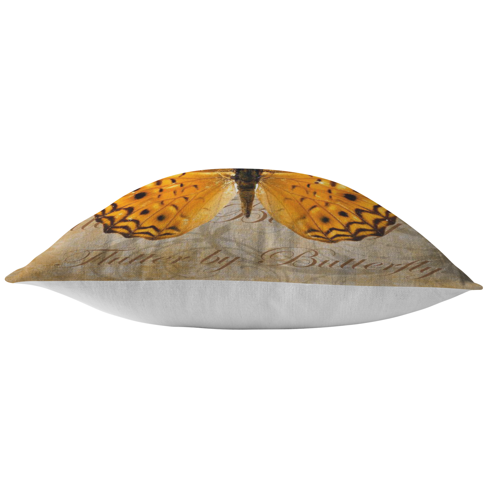 butterfly,butterflies,dragonfly,dragonflies,butterflies and dragonflies,nature,digital,collage
