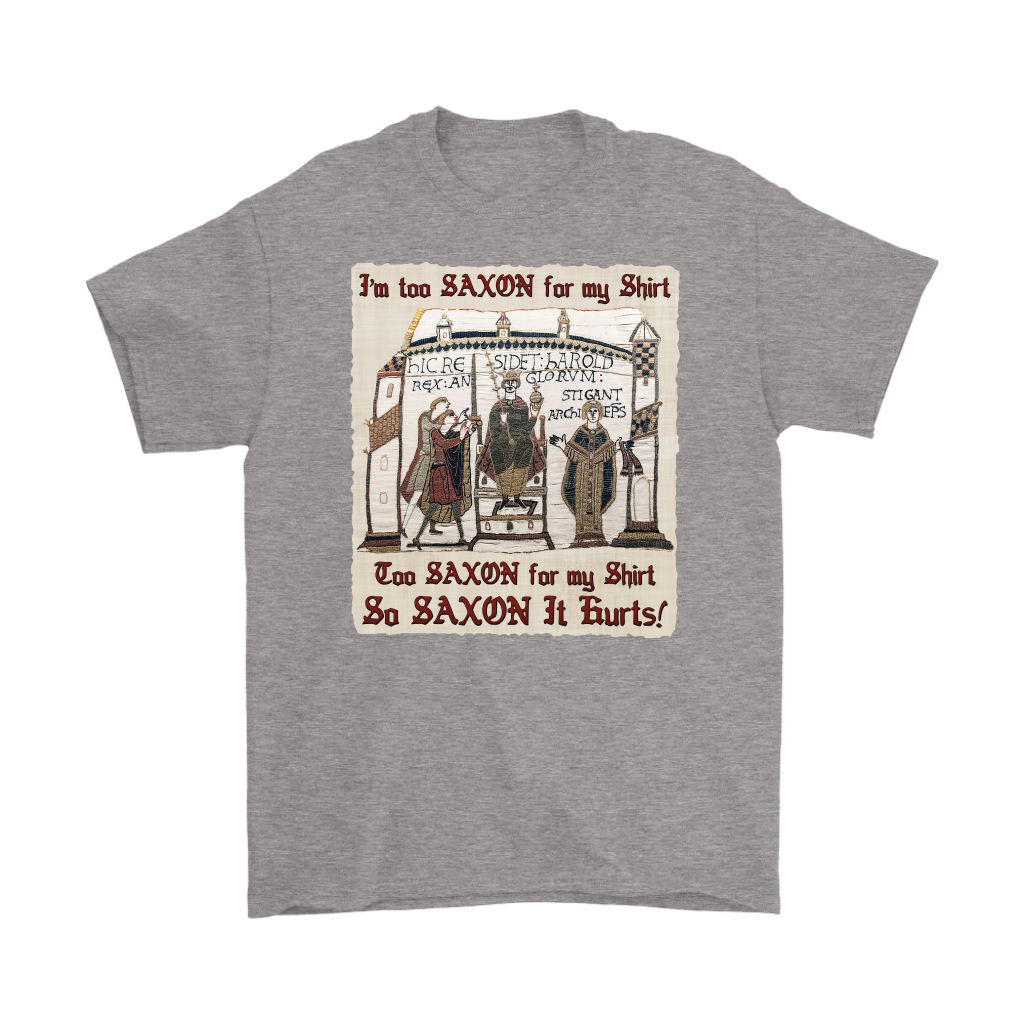 bayeux, bayeux tapestry, battle of hastings, 1066, medieval tapestry, medieval art, Norman, Anglo-Saxon, William Conqueror, Harold Godwinson, middle ages art, medieval shirt, medieval t-shirt, middle ages shirt