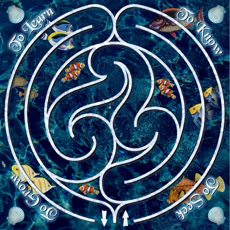 Walk-Thru Labyrinth Vinyl Floor Mats