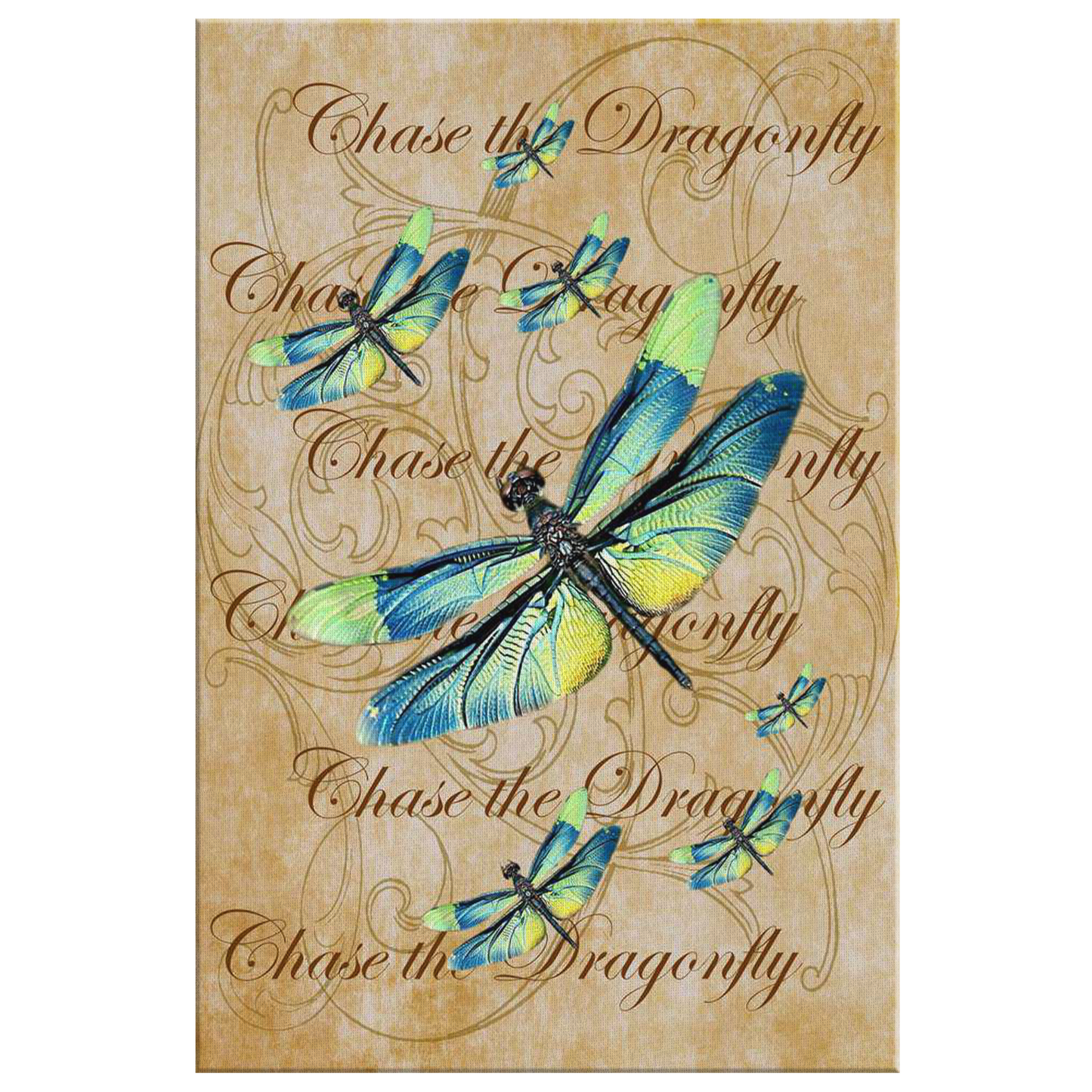 butterfly,butterflies,dragonfly,dragonflies,butterflies and dragonflies,nature,digital,collage