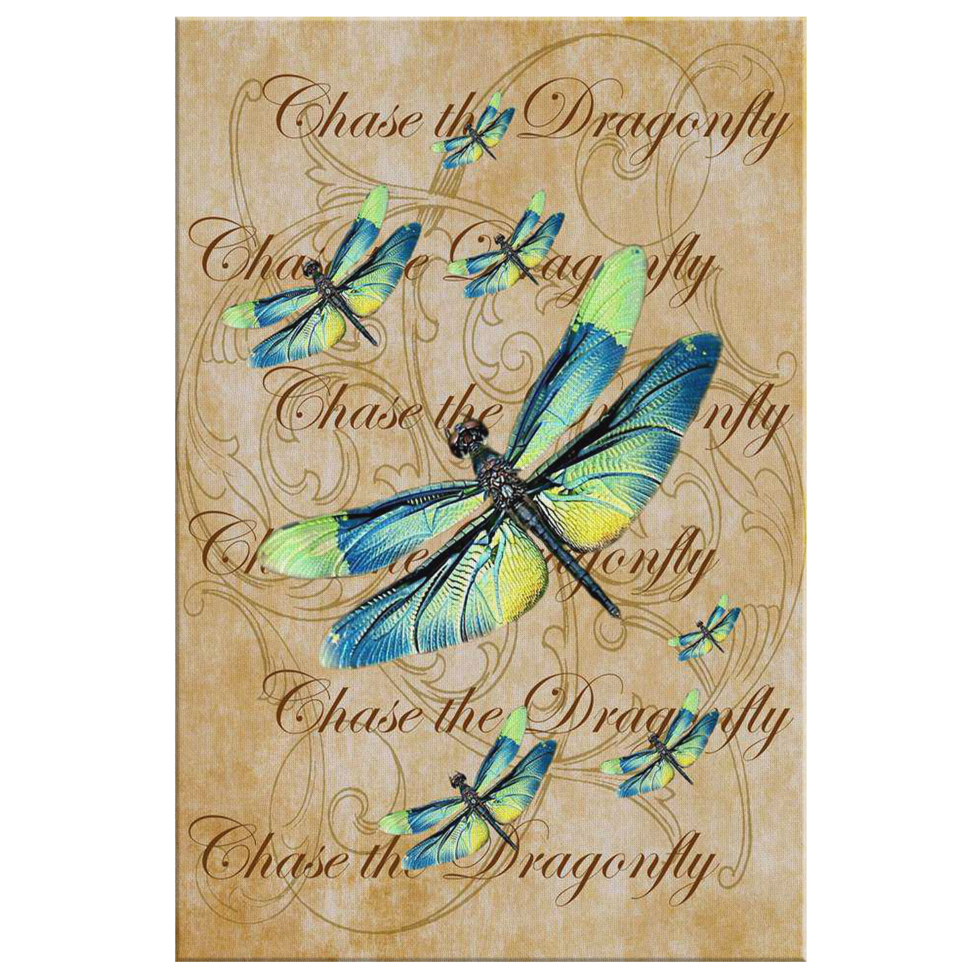 butterfly,butterflies,dragonfly,dragonflies,butterflies and dragonflies,nature,digital,collage
