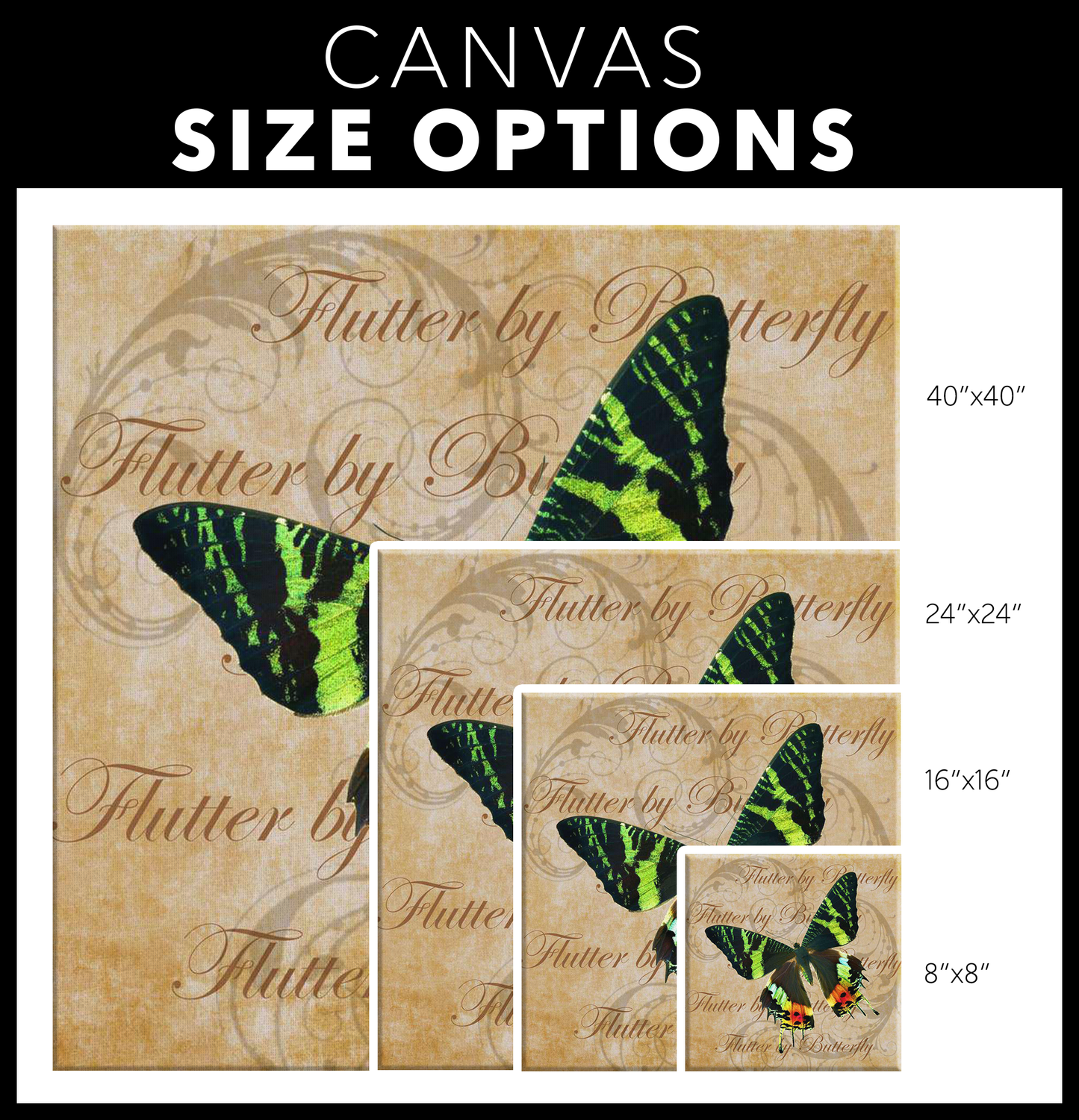 butterfly,butterflies,dragonfly,dragonflies,butterflies and dragonflies,nature,digital,collage