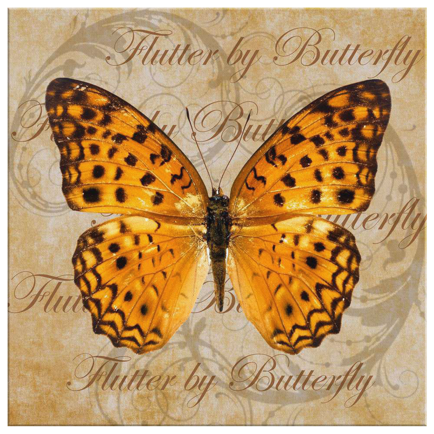 butterfly,butterflies,dragonfly,dragonflies,butterflies and dragonflies,nature,digital,collage