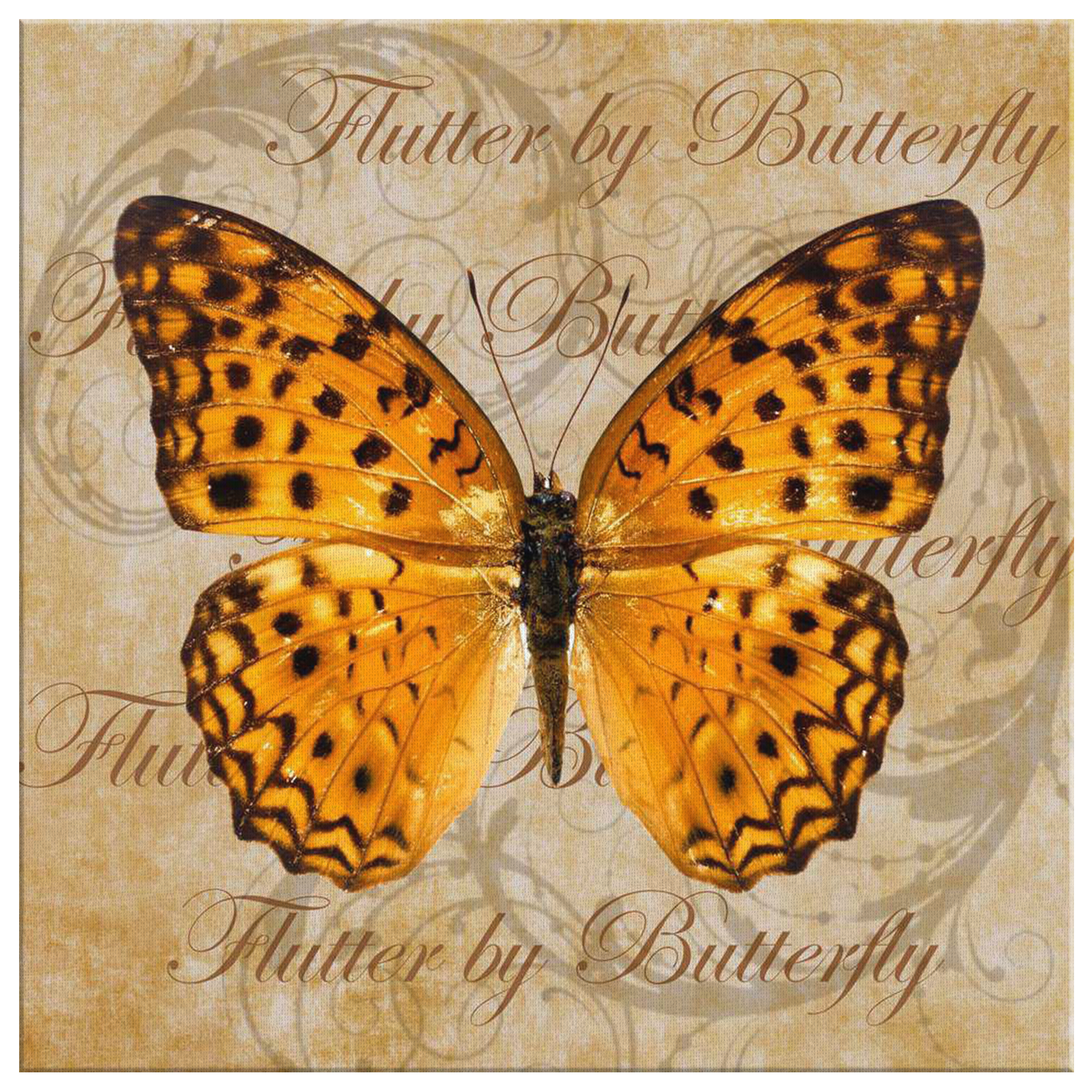 butterfly,butterflies,dragonfly,dragonflies,butterflies and dragonflies,nature,digital,collage