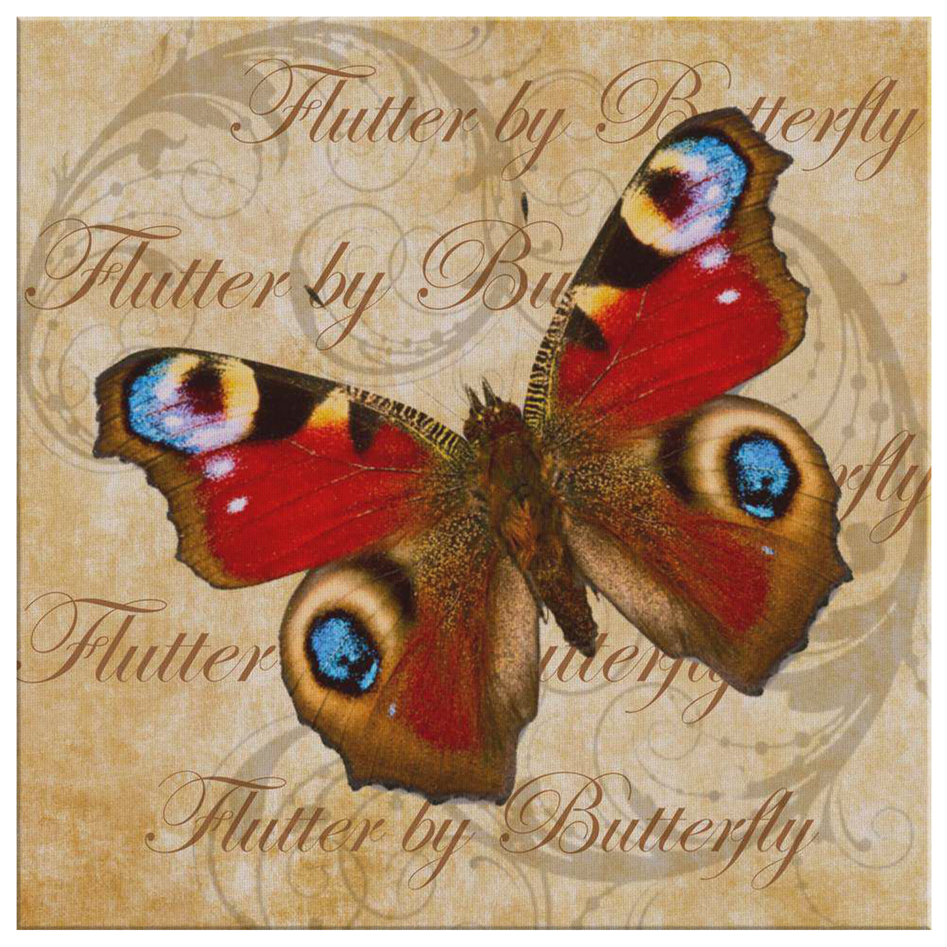 butterfly,butterflies,dragonfly,dragonflies,butterflies and dragonflies,nature,digital,collage