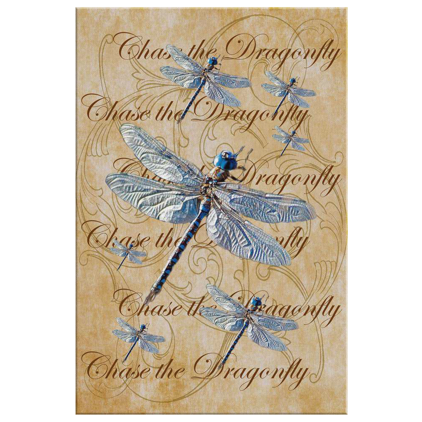 butterfly,butterflies,dragonfly,dragonflies,butterflies and dragonflies,nature,digital,collage