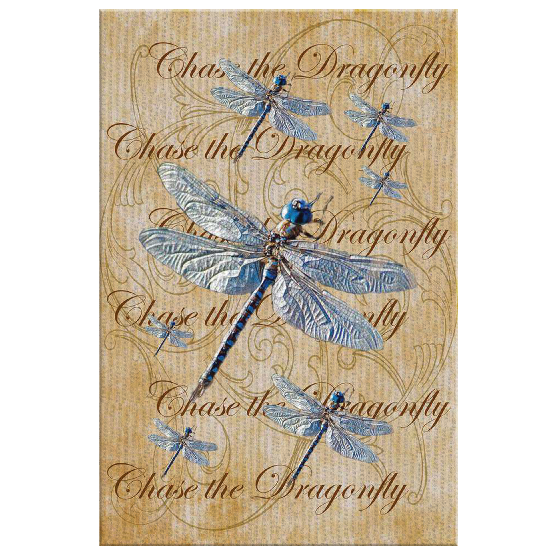 butterfly,butterflies,dragonfly,dragonflies,butterflies and dragonflies,nature,digital,collage