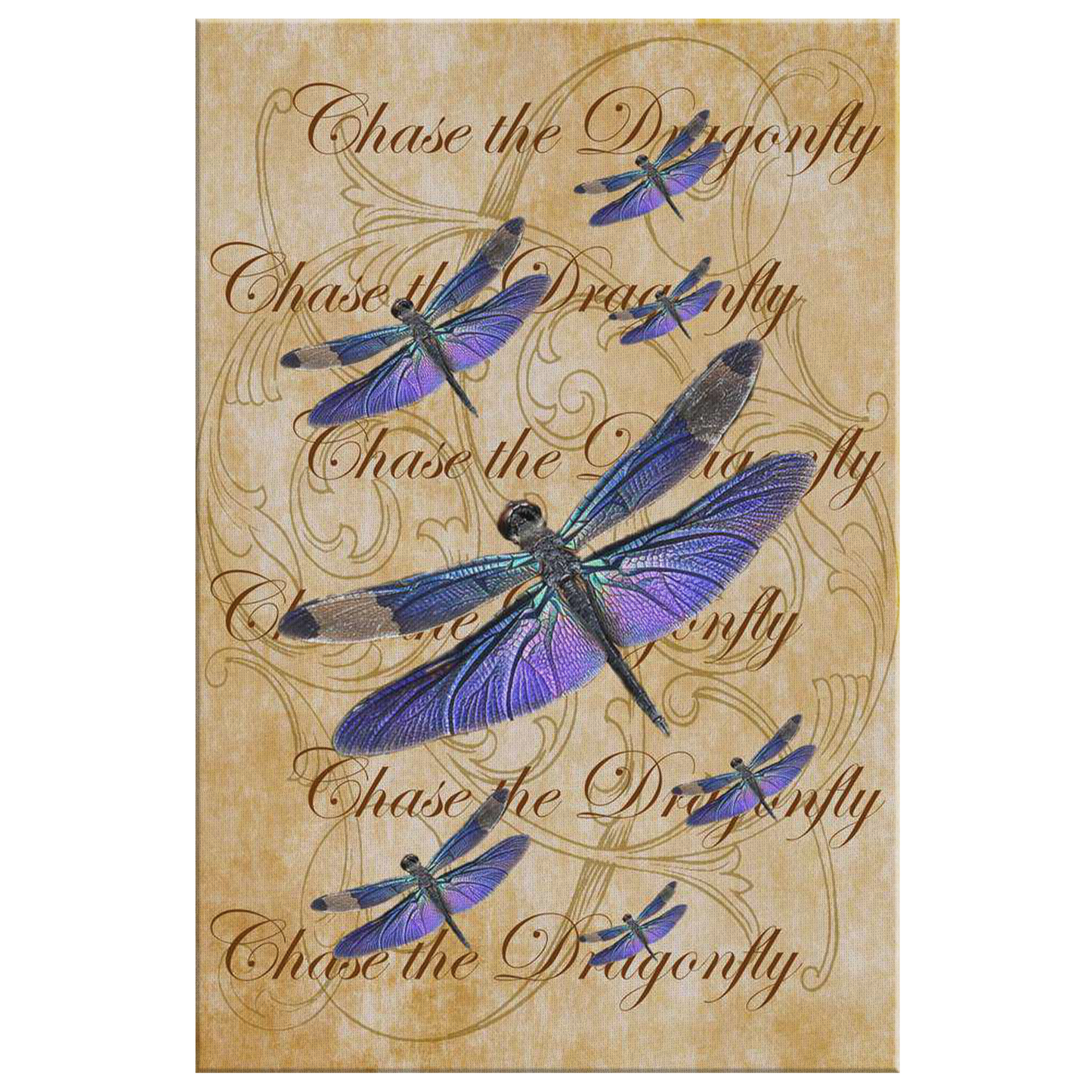 butterfly,butterflies,dragonfly,dragonflies,butterflies and dragonflies,nature,digital,collage