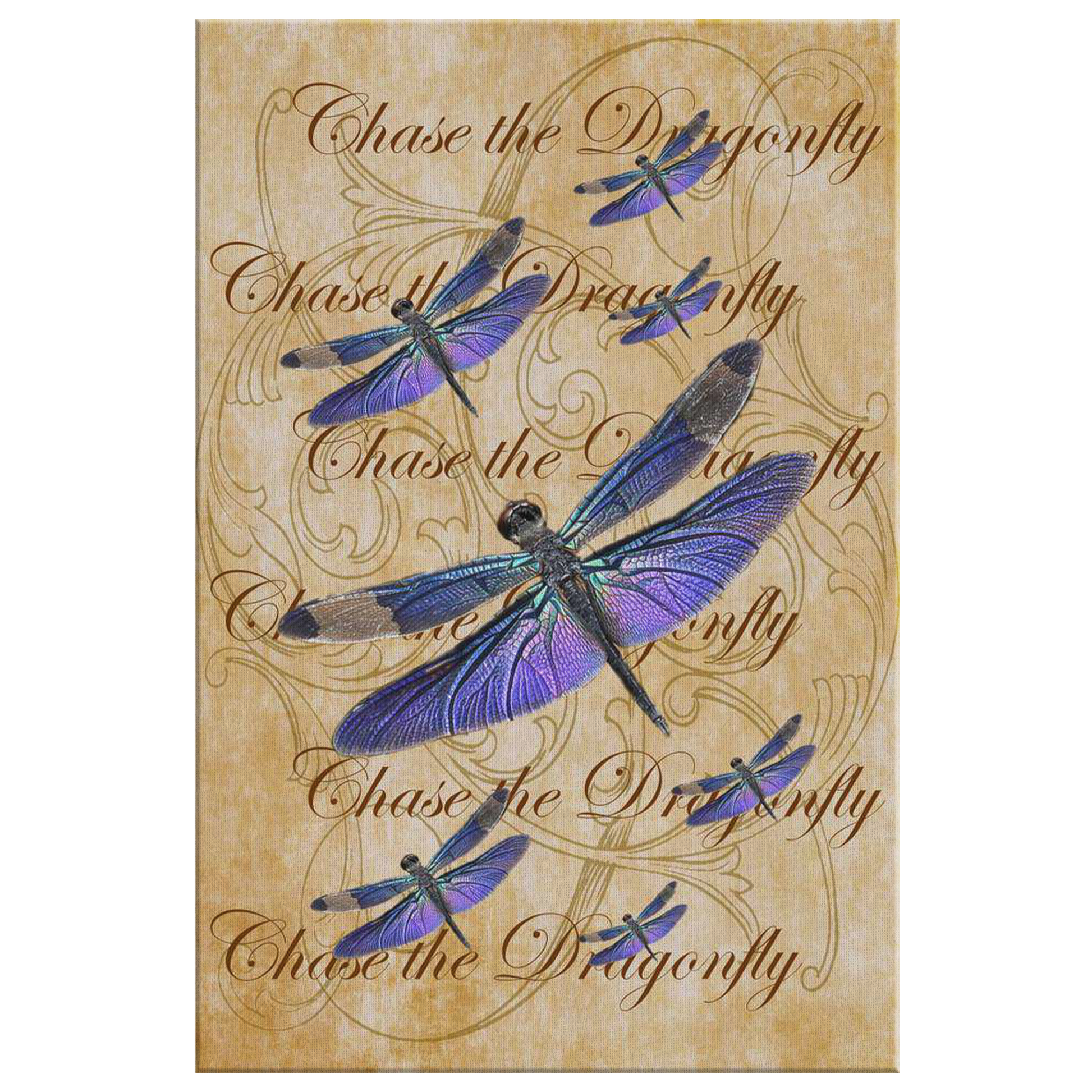 butterfly,butterflies,dragonfly,dragonflies,butterflies and dragonflies,nature,digital,collage