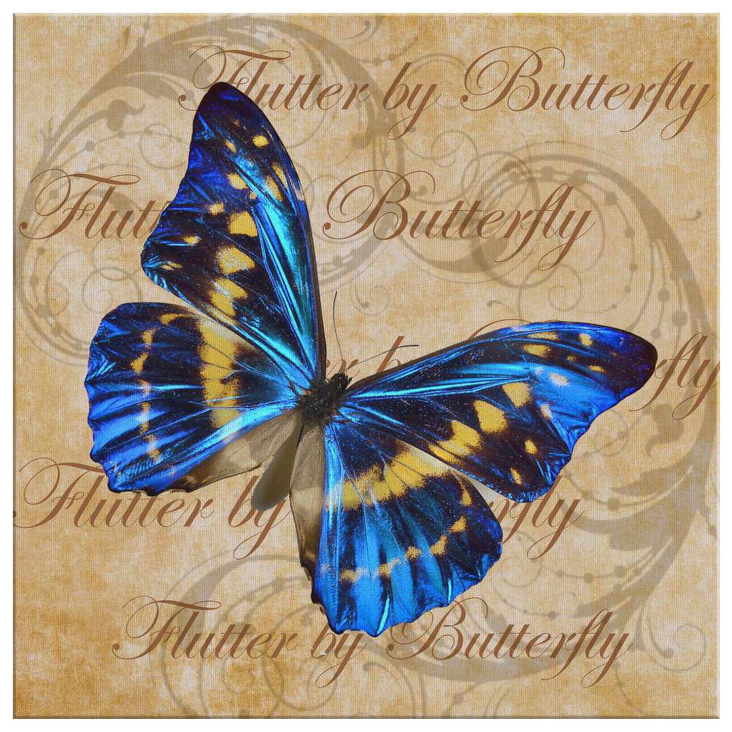 butterfly,butterflies,dragonfly,dragonflies,butterflies and dragonflies,nature,digital,collage