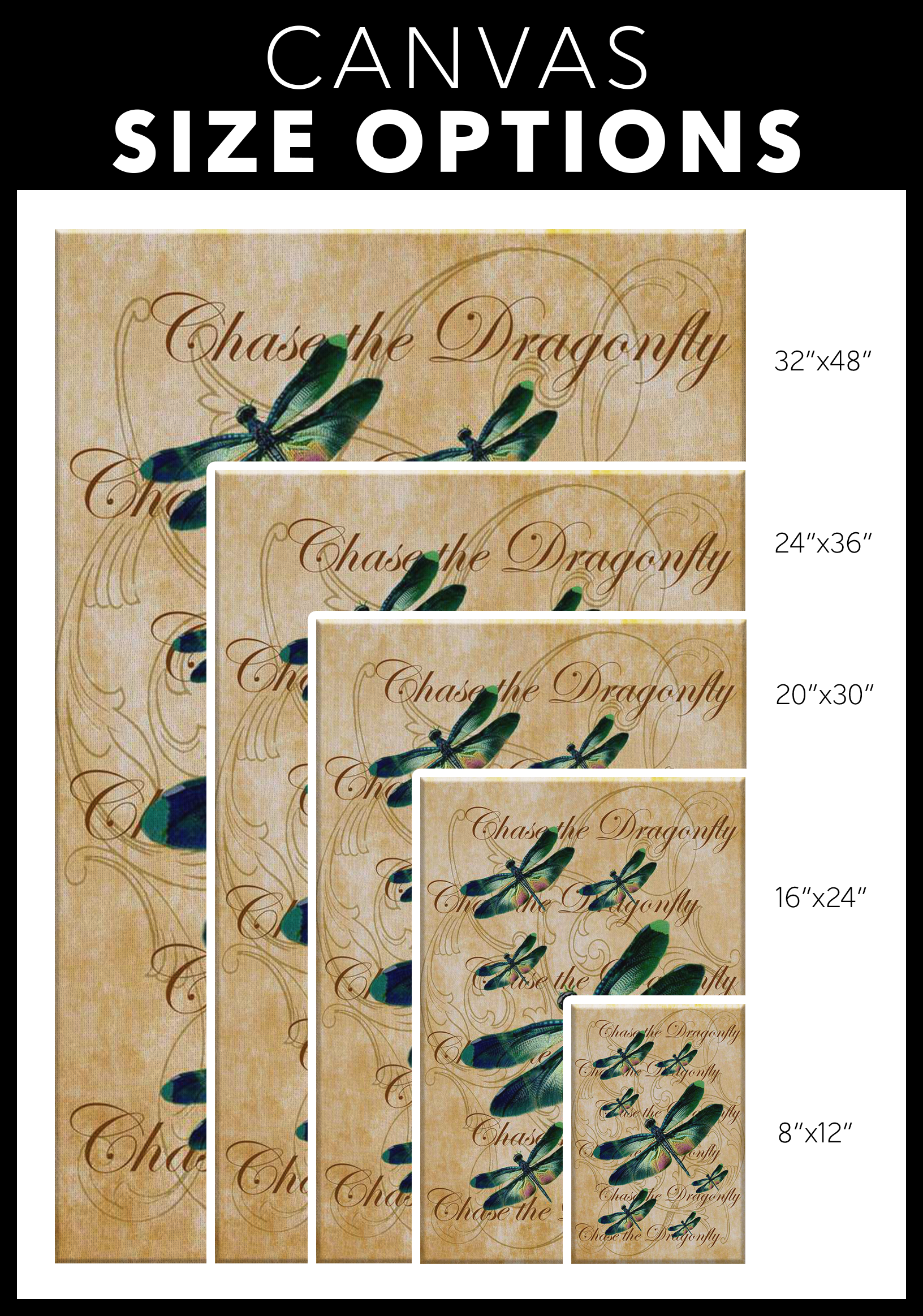 butterfly,butterflies,dragonfly,dragonflies,butterflies and dragonflies,nature,digital,collage
