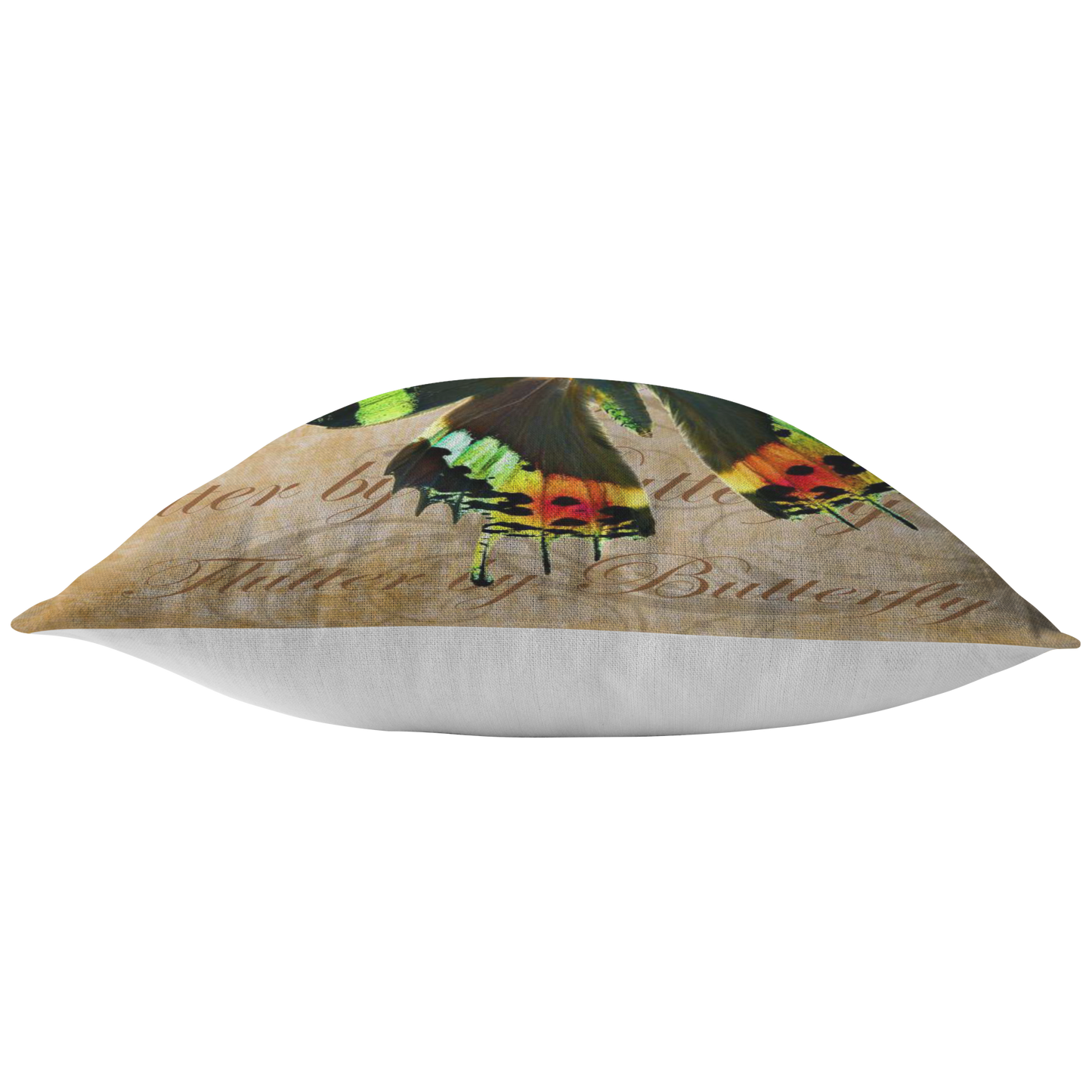 butterfly,butterflies,dragonfly,dragonflies,butterflies and dragonflies,nature,digital,collage