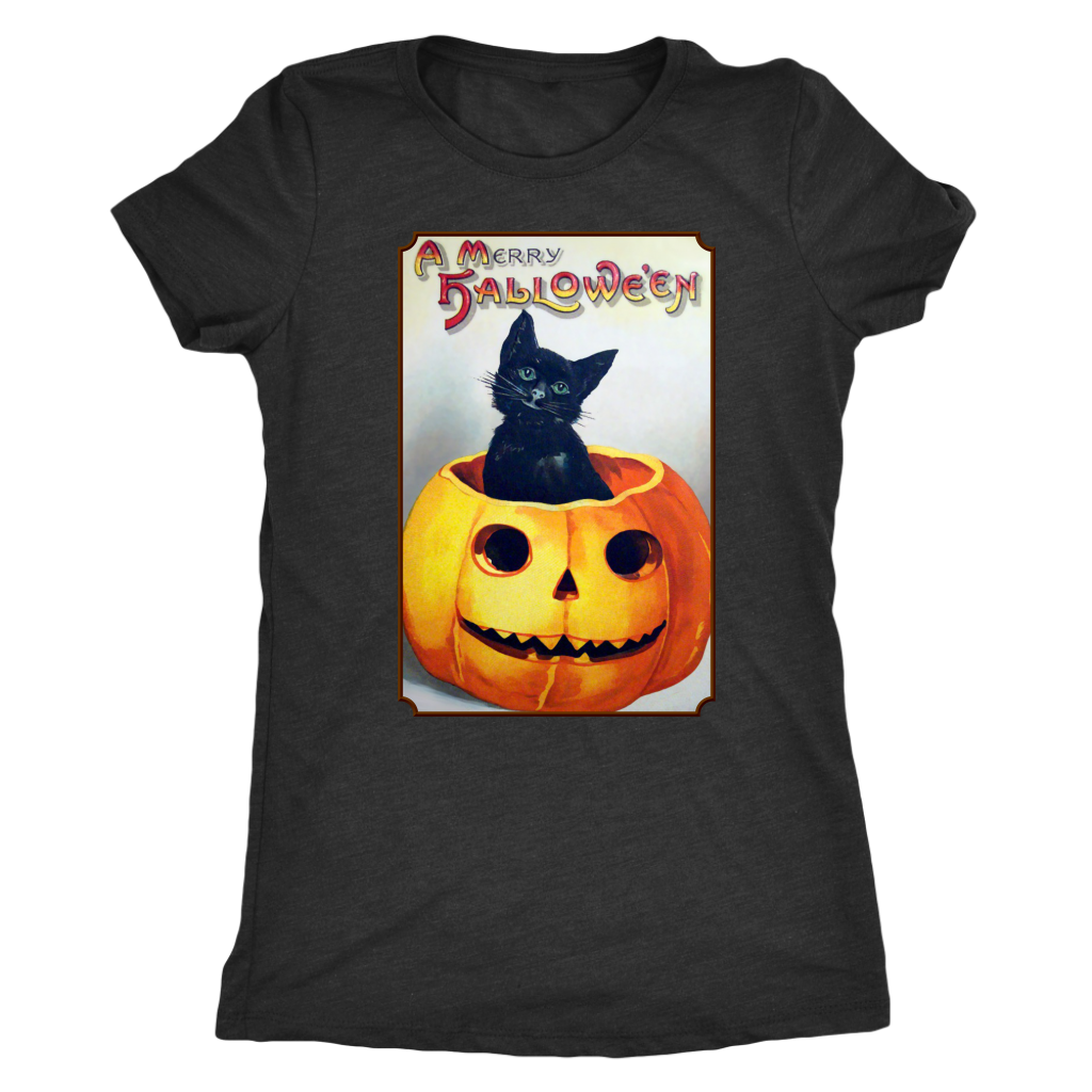 A Merry Halloween Cat in Pumpkin Women's Tri-Blend T-Shirt