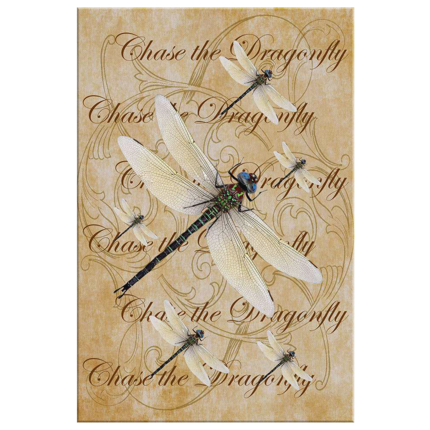 butterfly,butterflies,dragonfly,dragonflies,butterflies and dragonflies,nature,digital,collage