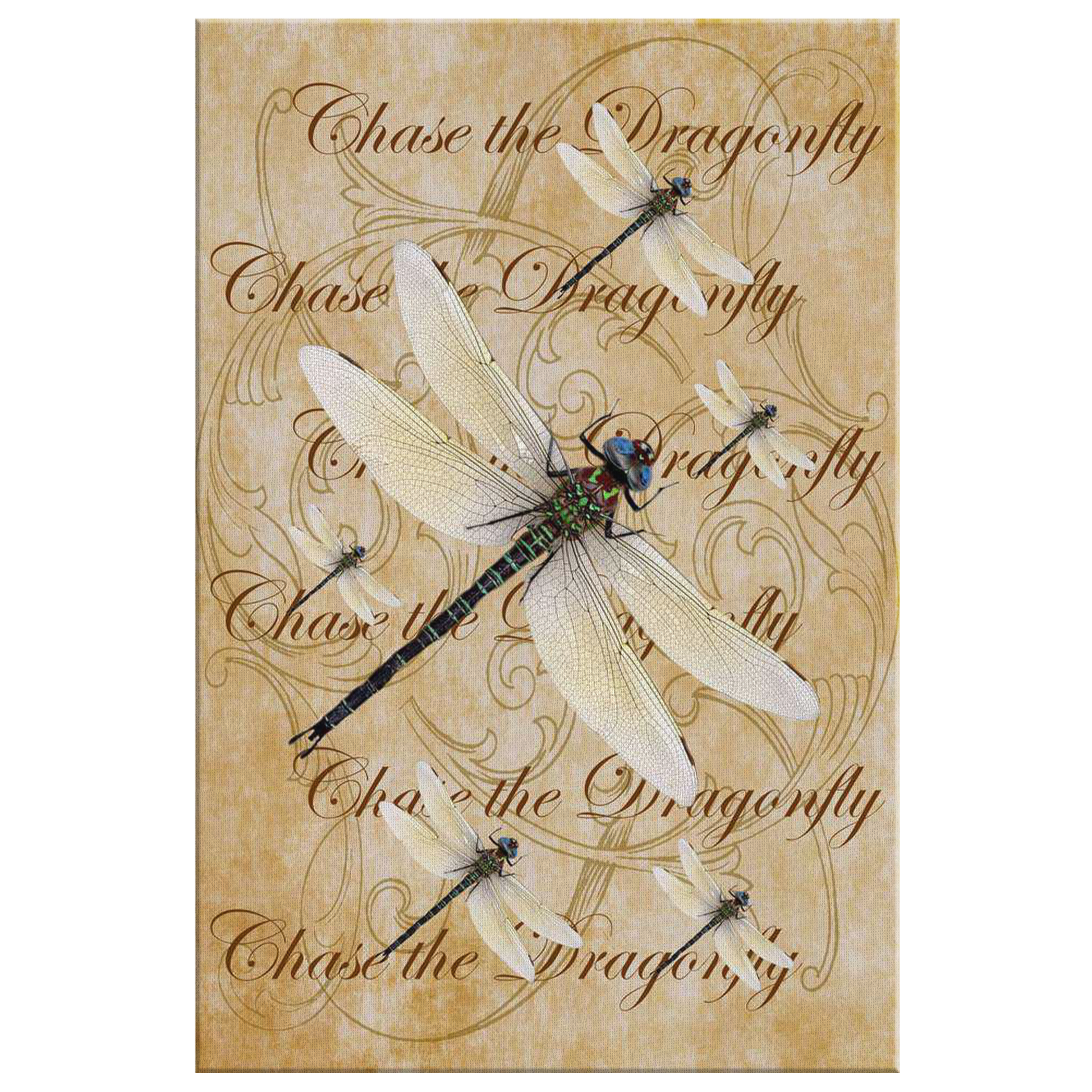 butterfly,butterflies,dragonfly,dragonflies,butterflies and dragonflies,nature,digital,collage