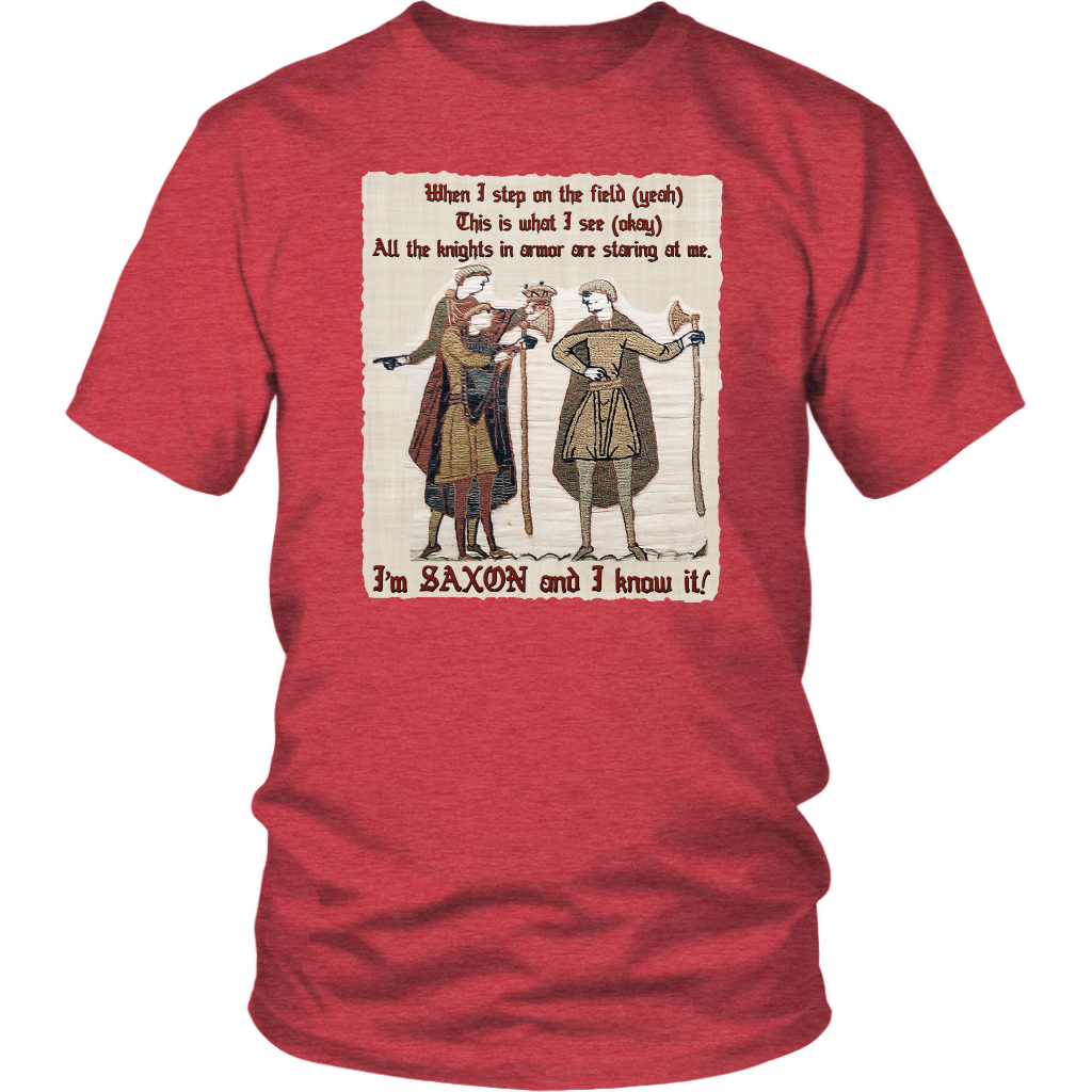 bayeux, bayeux tapestry, battle of hastings, 1066, medieval tapestry, medieval art, Norman, Anglo-Saxon, William Conqueror, Harold Godwinson, middle ages art, medieval shirt, medieval t-shirt, middle ages shirt