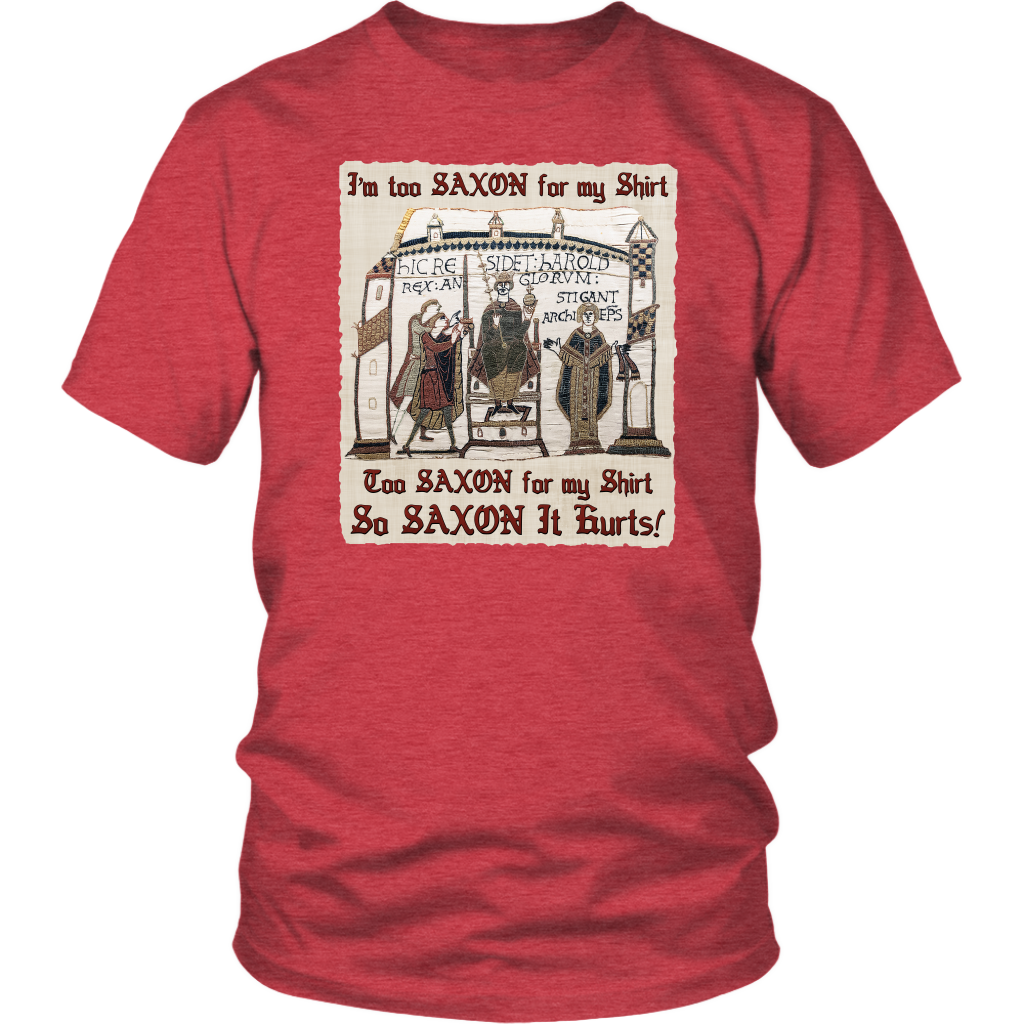 bayeux, bayeux tapestry, battle of hastings, 1066, medieval tapestry, medieval art, Norman, Anglo-Saxon, William Conqueror, Harold Godwinson, middle ages art, medieval shirt, medieval t-shirt, middle ages shirt