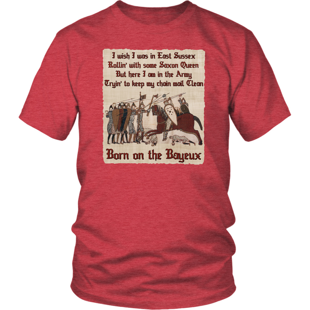bayeux, bayeux tapestry, battle of hastings, 1066, medieval tapestry, medieval art, Norman, Anglo-Saxon, William Conqueror, Harold Godwinson, middle ages art, medieval shirt, medieval t-shirt, middle ages shirt