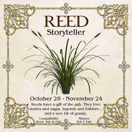 Celtic Tree Zodiac - REED, The Storyteller - October 28 to November 24