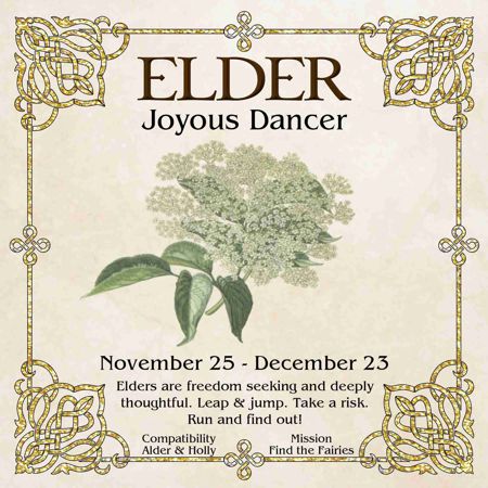 Celtic Tree Zodiac - ELDER, The Joyous Dancer - November 25 to December 23