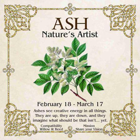 Celtic Tree Zodiac - ASH, Nature's Artist - February 18 to March 17