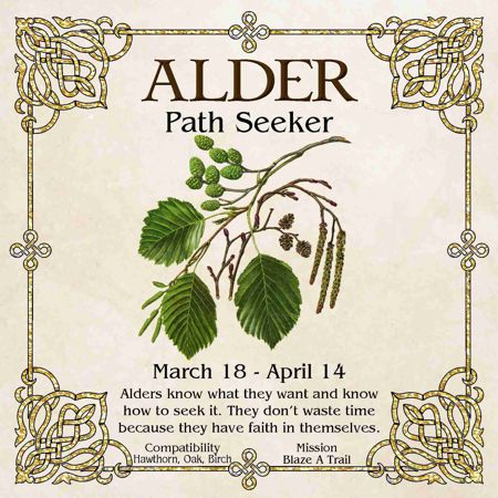 Celtic Tree Zodiac - ALDER, The Path Seeker - March 18 to April 14