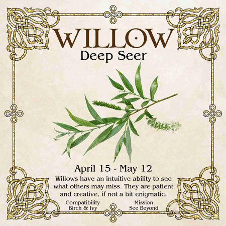 Celtic Tree Zodiac - WILLOW, The Deep Seer - April 15 to May 12