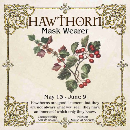 Celtic Tree Zodiac - HAWTHORN, The Mask Wearer - May 13 to June 9