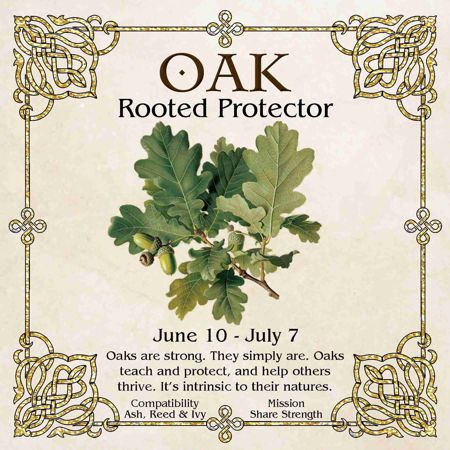 Celtic Tree Zodiac - OAK, The Rooted Protector - June 10 to July 7