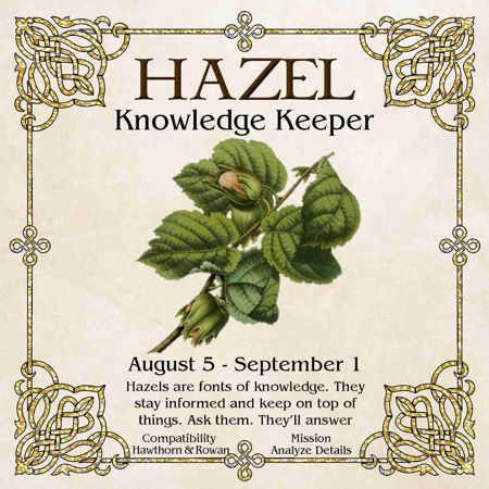 Celtic Tree Zodiac - HAZEL, The Knowledge Keeper - August 5 to September 1