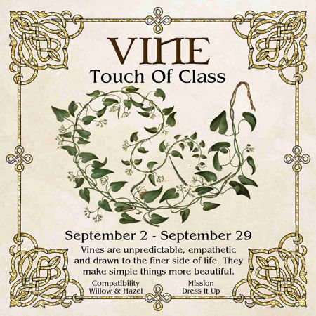 Celtic Tree Zodiac - VINE, A Touch Of Class - September 2 to September 29