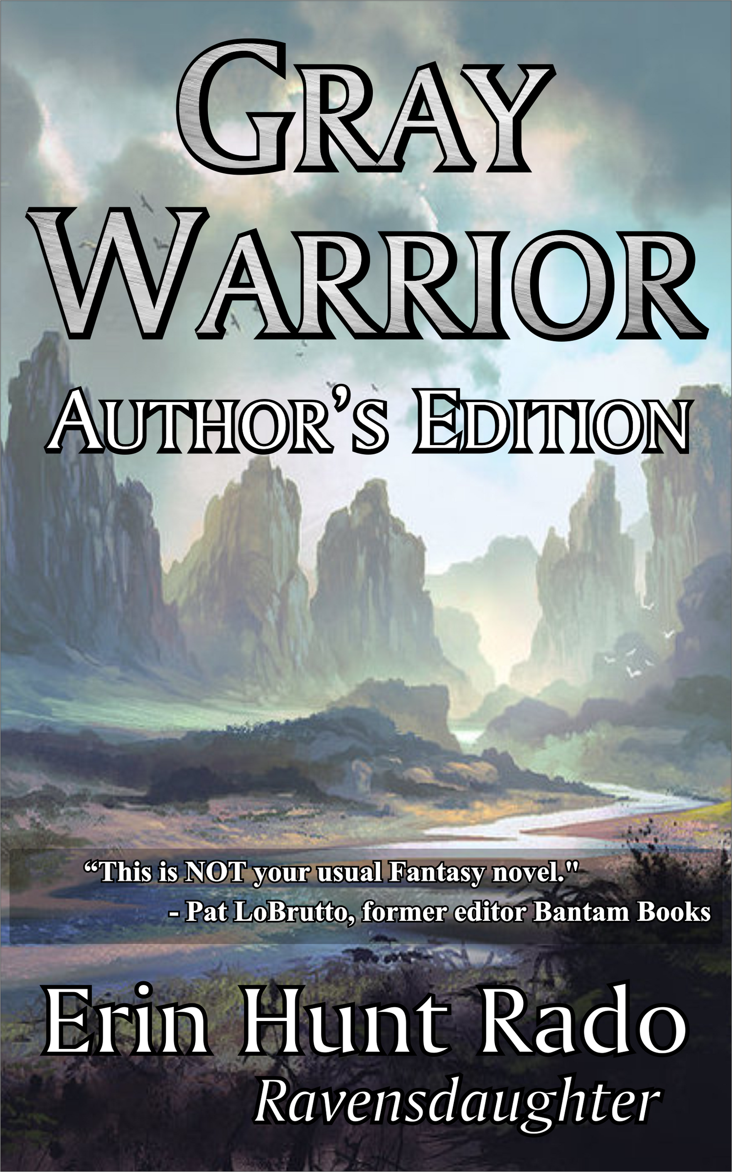 Gray Warrior Novel