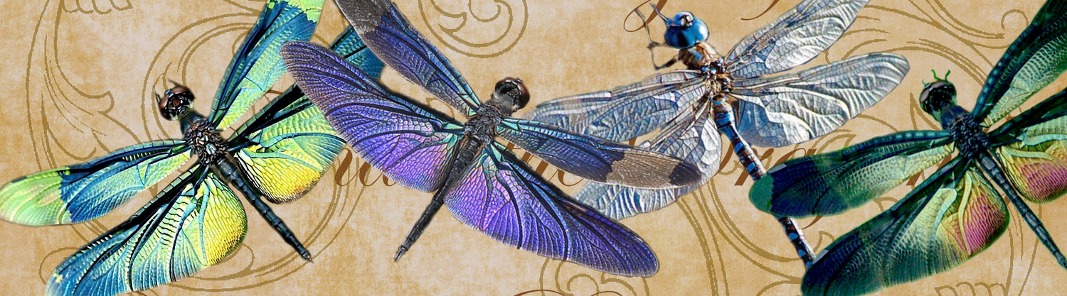 Dragonflies