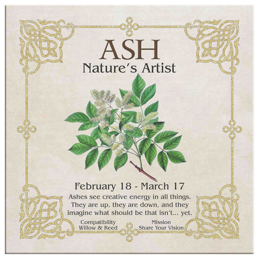 Celtic Tree Zodiac Canvas Print - Ash