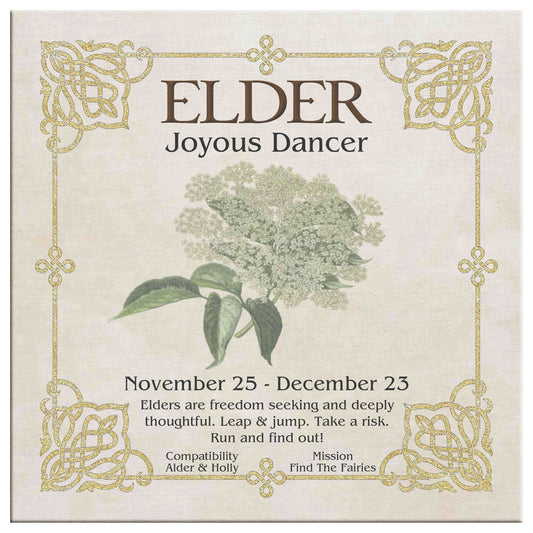 Celtic Tree Zodiac Canvas Print - Elder