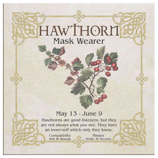 Celtic Tree Zodiac Canvas Print - Hawthorn
